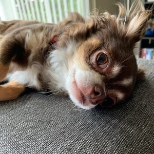 Meet your Posher, Summer